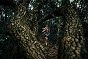 BIB: 
                            <button type="button" onclick="openModal(25682478)" class="btn btn-primary btn-sm float-right btn-popup" data-toggle="modal" data-target=".modal-high-quality">
                        <i class="fas fa-shopping-cart"></i> Add to Cart
                    </button>
                                            <button type="button" onclick="isThisMe(25682478, true)" class="btn btn-success btn-sm float-right btn-popup btn-isme hidden" data-toggle="tooltip" data-placement="bottom" title="นี่คือรูปของคุณใช่ไหม คลิกที่นี่เพื่อเอาเข้าอัลบั้ม">
                        <i class="fas fa-plus"></i> Add to album
                    </button>
                    <button type="button" onclick="isThisMe(25682478, false)" class="btn btn-warning btn-sm float-right btn-popup btn-isnotme hidden">
                        <i class="fas fa-ban"></i> Remove from album
                    </button>